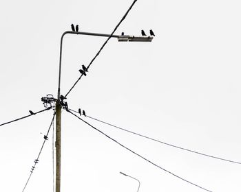 Low angle view of bird perching on cable against clear sky