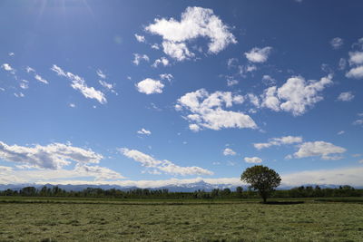 Scenic view of field against sky