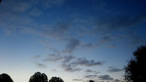 Low angle view of silhouette trees against sky