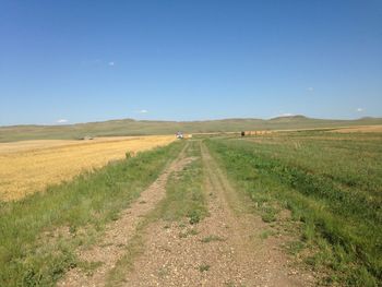Road leading to field of wheat.