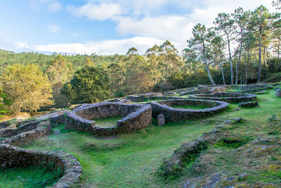 Old ruins on grassy field in forest