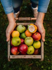 Midsection of man holding apples