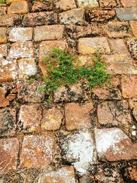 Full frame shot of brick wall