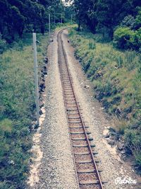 High angle view of railroad tracks along trees