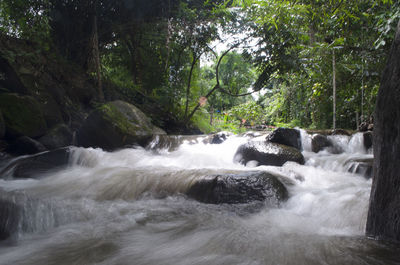 Scenic view of waterfall in forest