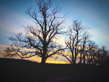 Low angle view of silhouette tree against sky