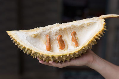 Close-up of hand holding tropical fruit