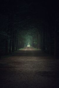 Dirt road amidst trees in forest