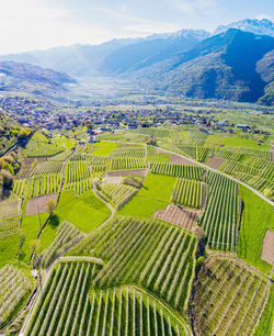 High angle view of agricultural field against sky