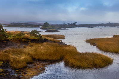 Scenic view of river against sky