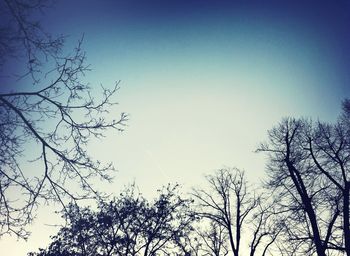 Low angle view of bare trees against blue sky