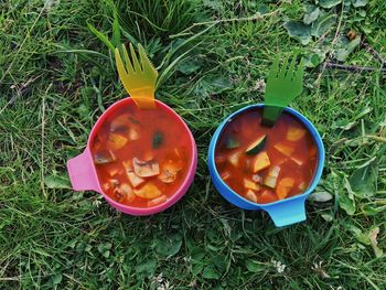 High angle view of pumpkin on grass
