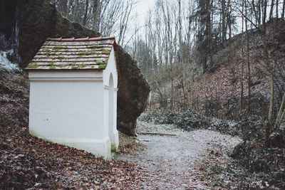 House amidst trees on field in forest