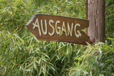 Close-up of sign on grass