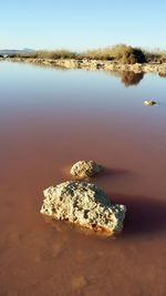water