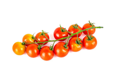 Close-up of tomatoes against white background