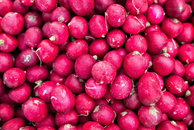 Full frame shot of radishes