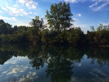 Reflection of trees in lake against sky