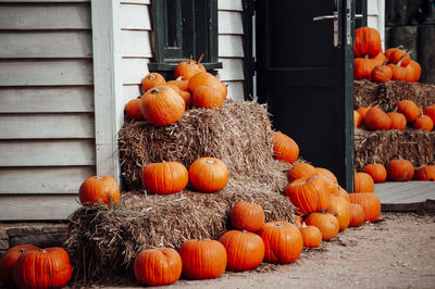 Close-up of pumpkins on table