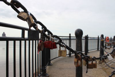 Close-up of padlocks on railing