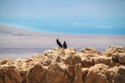 Rock formations on sea shore against sky