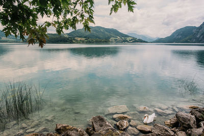 Scenic view of lake and mountains