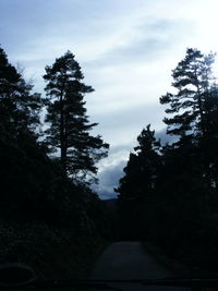 Road amidst trees against sky