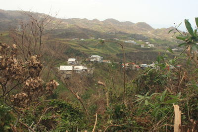 Houses on field against sky