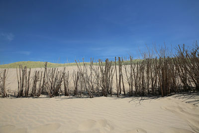 Scenic view of beach against blue sky