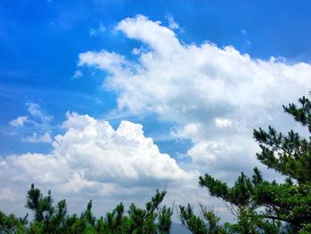 Low angle view of trees against cloudy sky