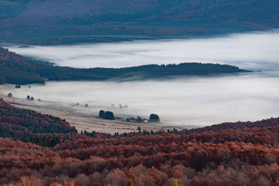 Scenic view of landscape covered in fog at cansiglio