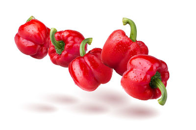 Close-up of red berries against white background