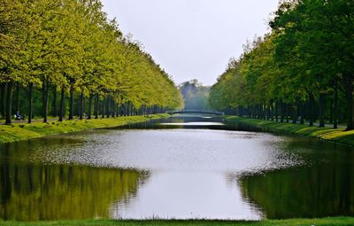 Scenic view of lake by trees against sky