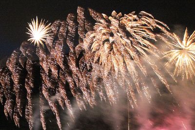 Low angle view of firework display at night