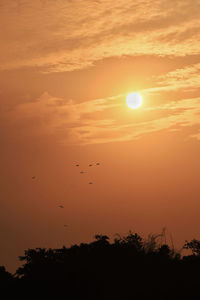 Silhouette birds against sky during sunset