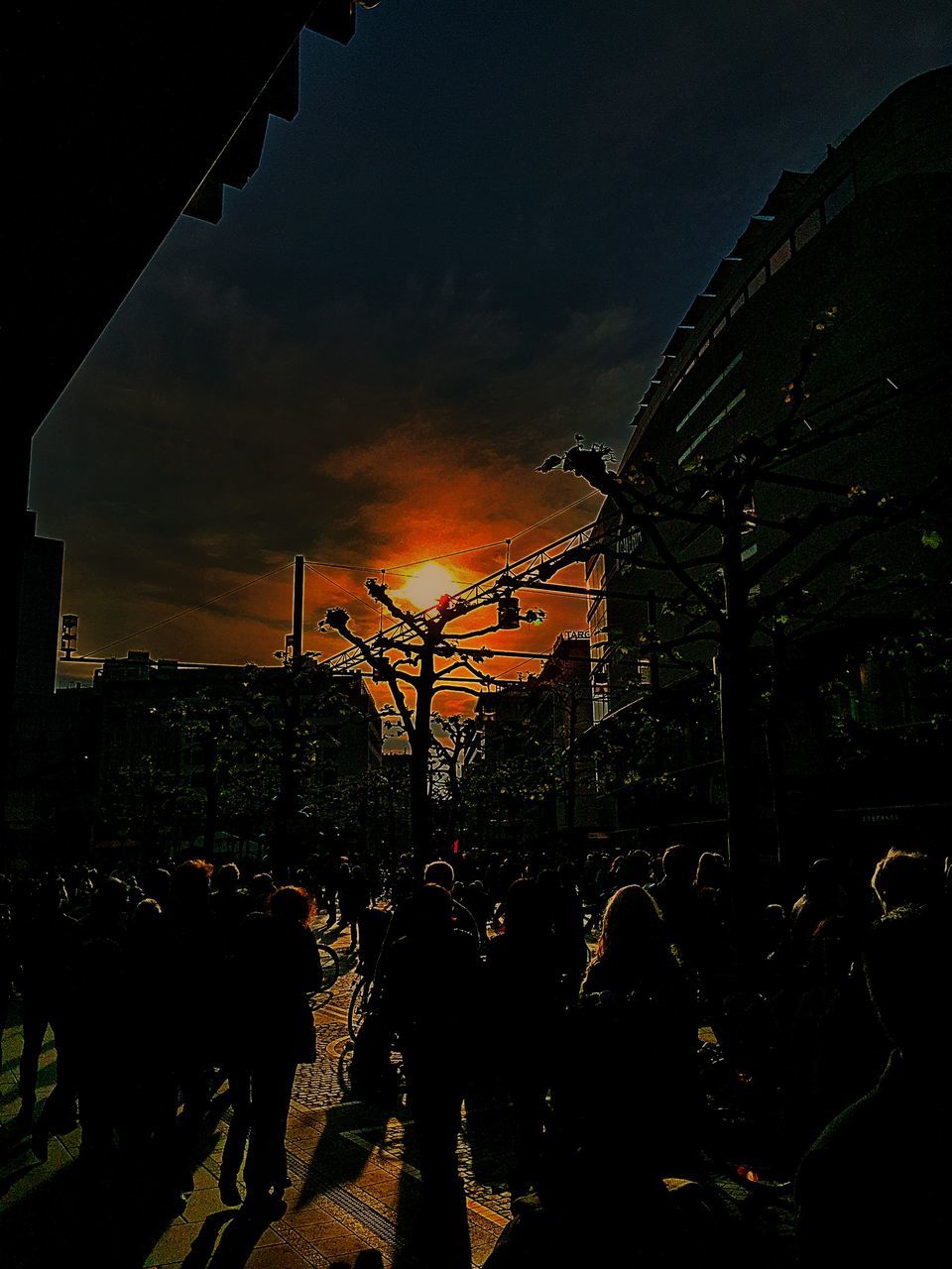 silhouette, sunset, sky, building exterior, built structure, architecture, illuminated, city, dusk, orange color, tree, night, dark, outdoors, cloud - sky, low angle view, nature, street light, growth, dramatic sky