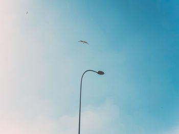 Street lamp and a flying bird against blue sky