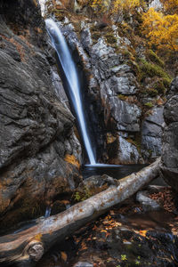 Scenic view of waterfall in forest