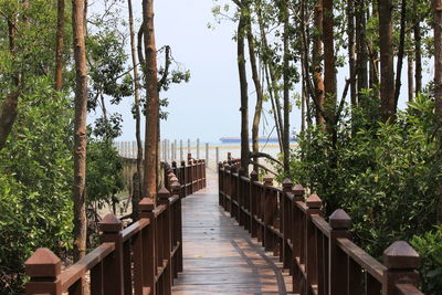 Wooden posts amidst trees by sea against sky