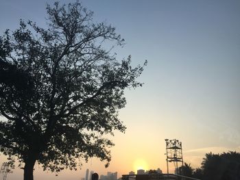 Low angle view of tree against sky