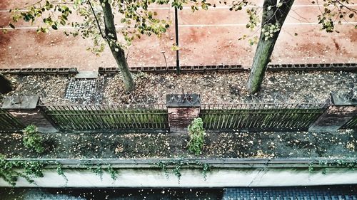 Plants in water