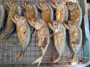 Close-up of fish for sale