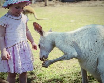 Girl feeding kangaroo on field