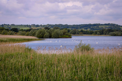 Scenic view of land and lake against sky