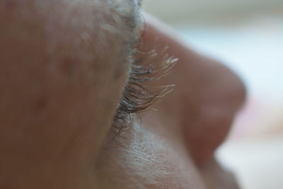 Extreme close-up of person eyelash