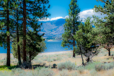 Scenic view of calm lake against sky