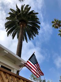 Low angle view of palm trees against sky and american flag