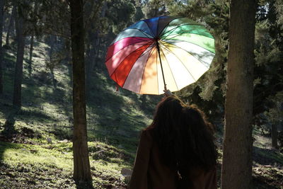 Rear view of women holding colorful umbrella by tree in forest