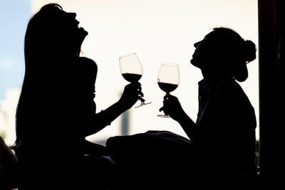 Silhouette friends holding wineglasses sitting against window at home