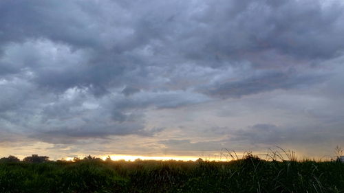 Scenic view of field against cloudy sky